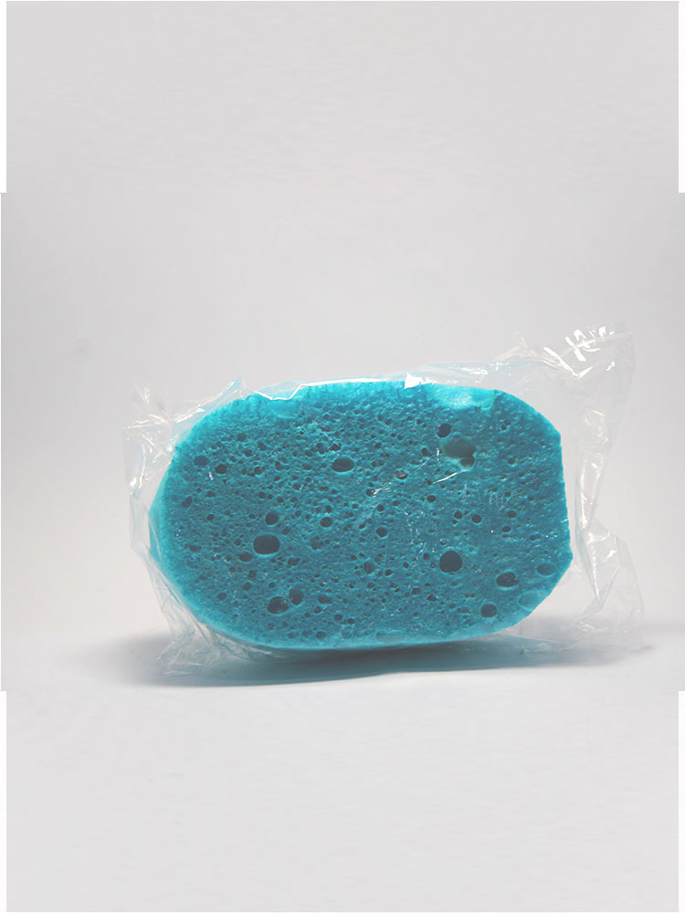 Esponja