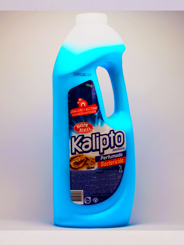 Bactericida Perfumado Marine Bom Bril 2 Lt.