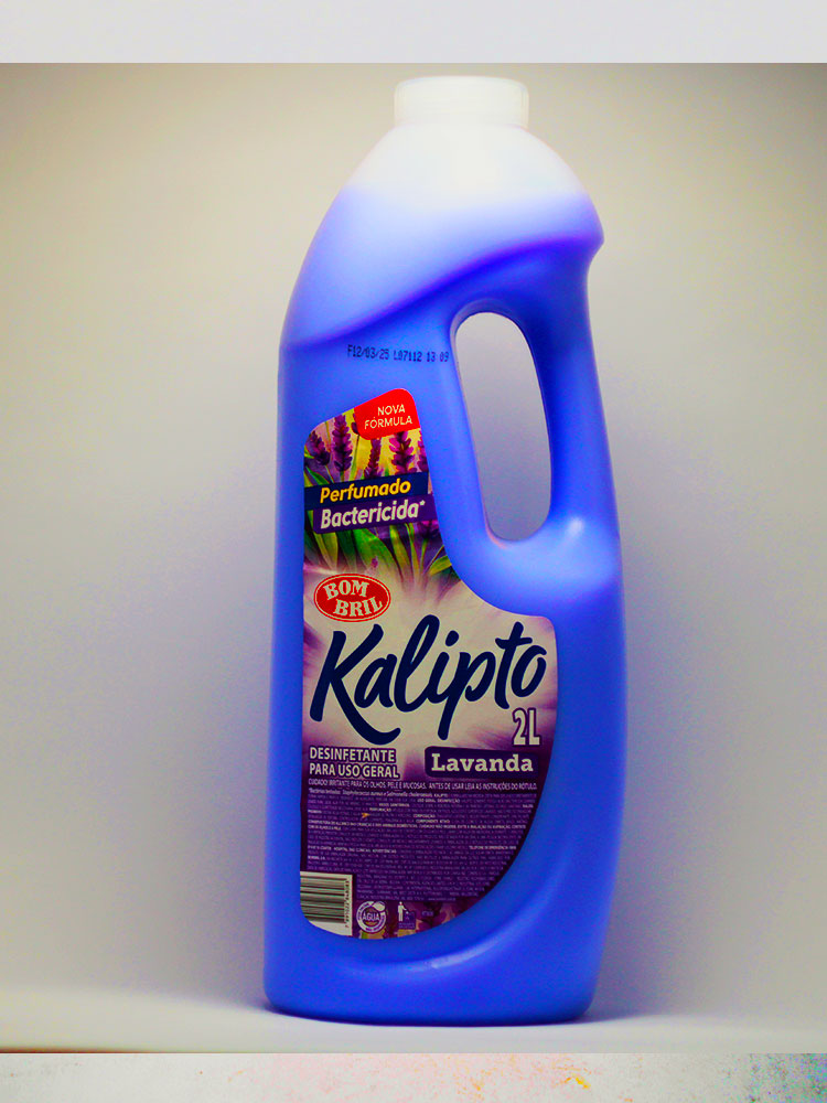 Bactericida Perfumado Lavadina Bom Bril 2 Lt.