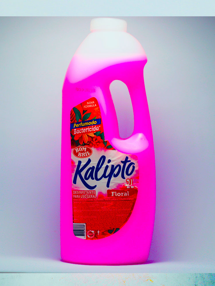 Bactericida Perfumado Floral Bom Bril 2 Lt.
